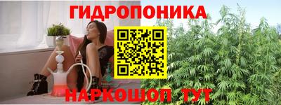 шишки Нарткала
