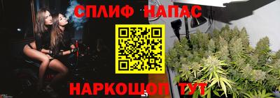 шишки Нарткала