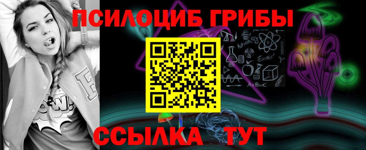 Галлюциногенные грибы Cubensis Химки